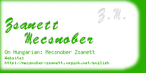 zsanett mecsnober business card